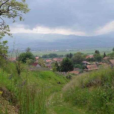 Birdsong Cottage - Peaceful Country Retreat Păuleni-Ciuc Exteriör bild