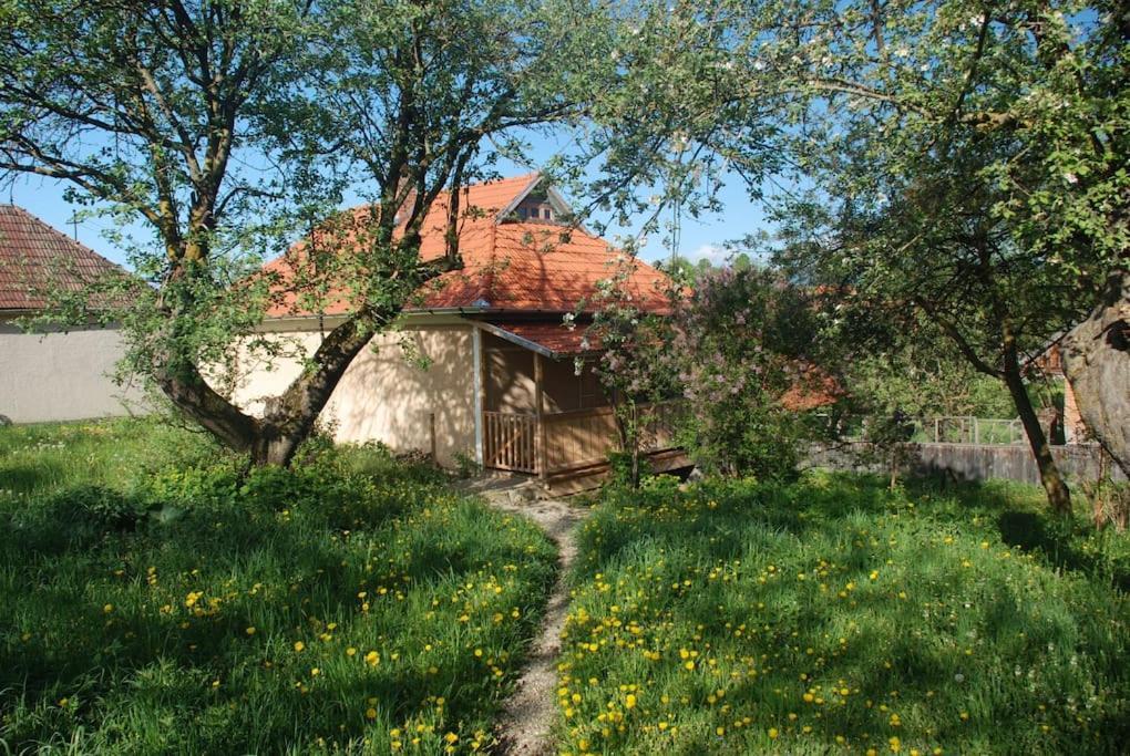 Birdsong Cottage - Peaceful Country Retreat Păuleni-Ciuc Exteriör bild